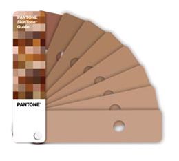 Pantone STG201 SkinTone Guide